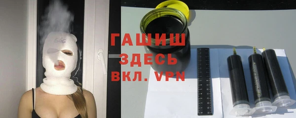 молекула духа Богданович