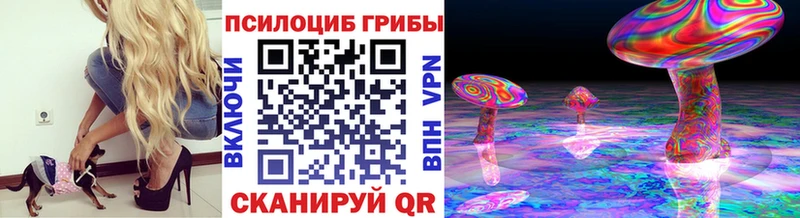 Галлюциногенные грибы Psilocybe Томск
