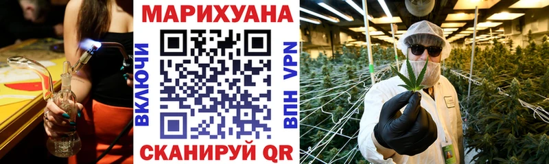 где продают   Томск  Конопля сатива 